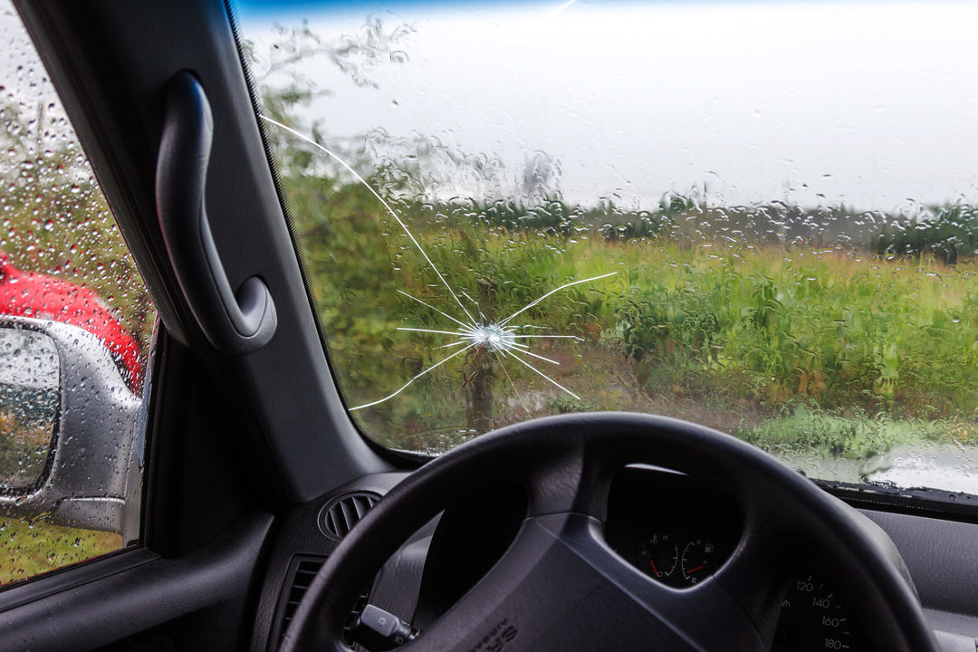 Car interior with a shattered windshield and grassy field outside